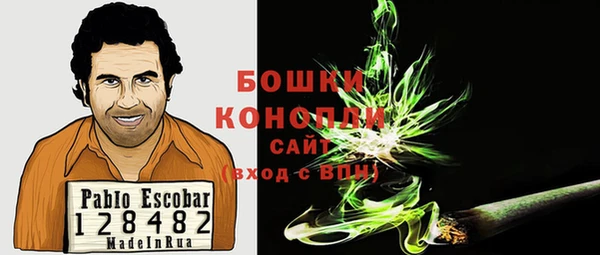 Альфа ПВП Сосновоборск