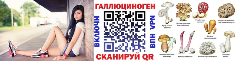 купить   MEGA как зайти  Галлюциногенные грибы прущие грибы  Геленджик 